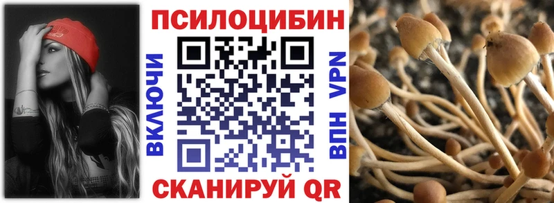 Псилоцибиновые грибы MAGIC MUSHROOMS Порхов